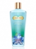 aqua-kiss-body-wash - ảnh nhỏ  1